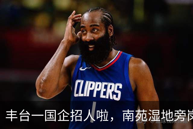 丰台一国企招人啦，南苑湿地旁岗位上新