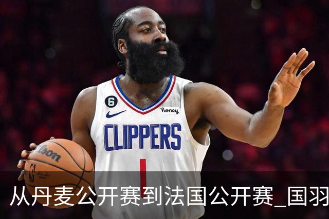 从丹麦公开赛到法国公开赛 国羽仍然只有混双摘金