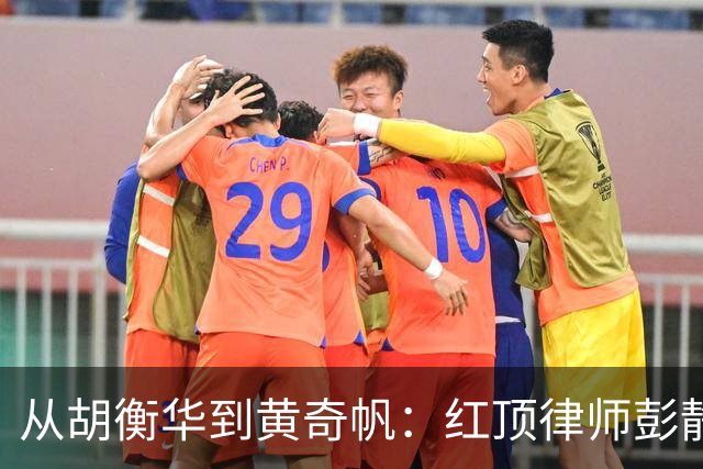 从胡衡华到黄奇帆：红顶律师彭静事件来龙去脉与3个警示