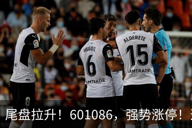 尾盘拉升！601086，强势涨停！这一板块逆市爆发