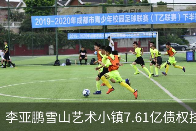 李亚鹏雪山艺术小镇7.61亿债权挂牌转让，项目公司已被申请破产！