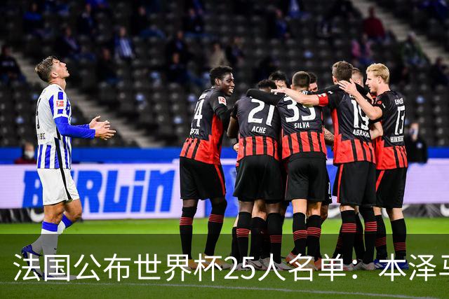 法国公布世界杯25人名单：本泽马姆巴佩领衔