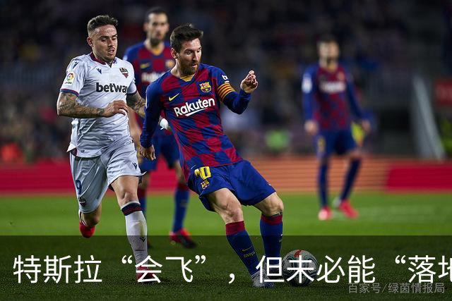 特斯拉“会飞”，但未必能“落地” | 新京报快评