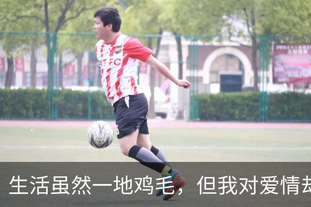 生活虽然一地鸡毛，但我对爱情却无比挑剔