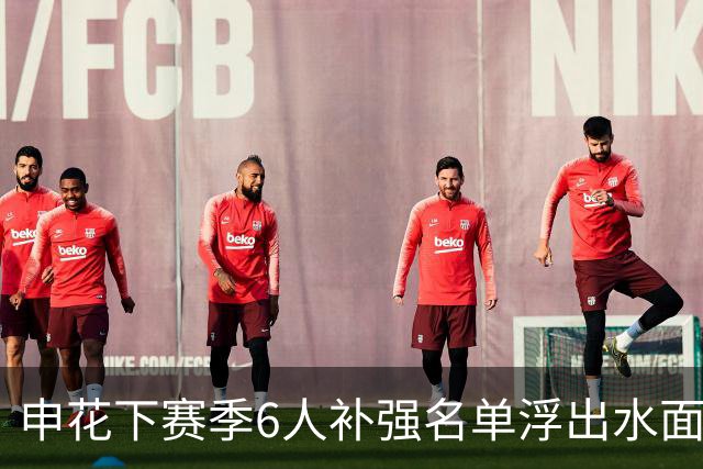 申花下赛季6人补强名单浮出水面，未来他们将挑大梁，值得期待