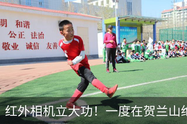 红外相机立大功！一度在贺兰山绝迹近70年，如今拍到一家三口同框
