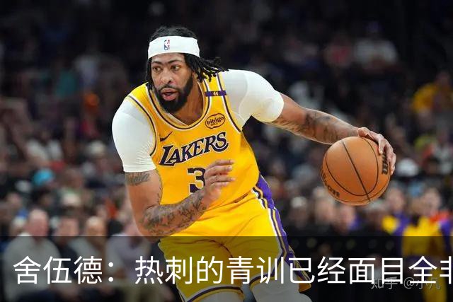 舍伍德：热刺的青训已经面目全非，他们辜负了年轻球员
