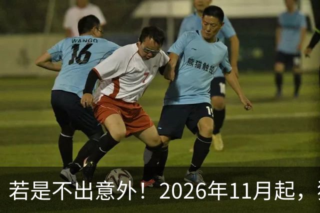 若是不出意外！2026年11月起，猪肉，鸡蛋，蔬菜或迎来“大变局”